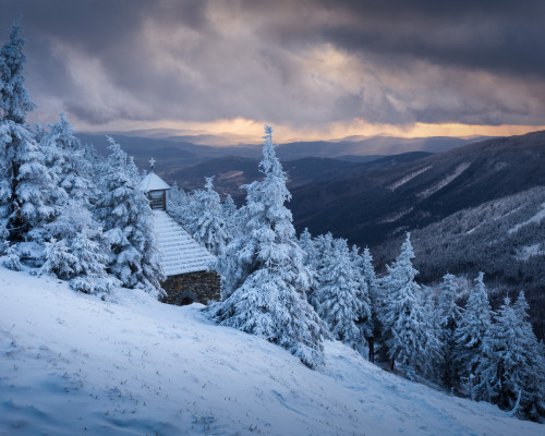 Vřesová studánka, Jeseníky, Česko