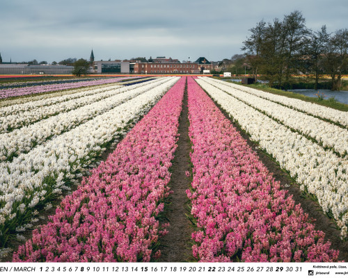 Kalendář z fotek 2026