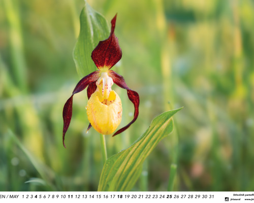 Kalendář z fotek 2026