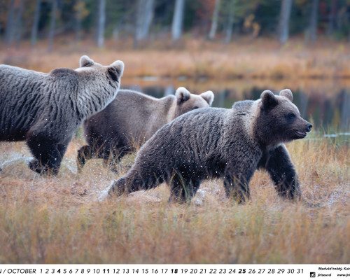 Kalendář z fotek 2026